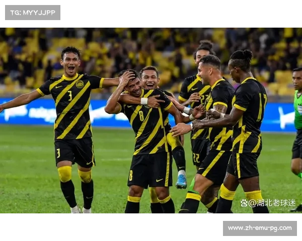 马来西亚足协“归化造假”丑闻升级，面临全球禁赛危机，足协管理层被呼吁集体辞职